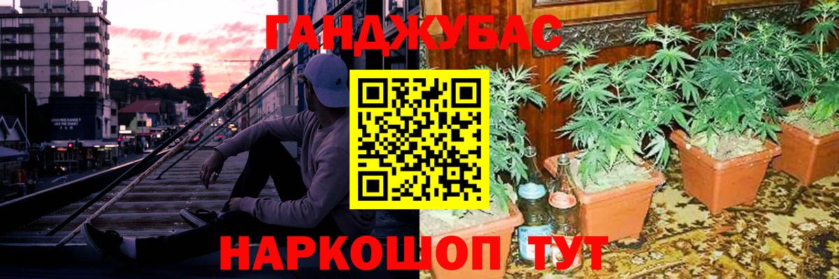 Конопля OG Kush Каменка